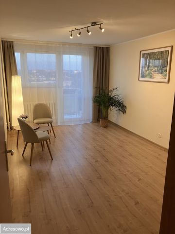 Mieszkanie 2-pokojowe Poznań Grunwald, ul. Olszynka. Zdjęcie 1