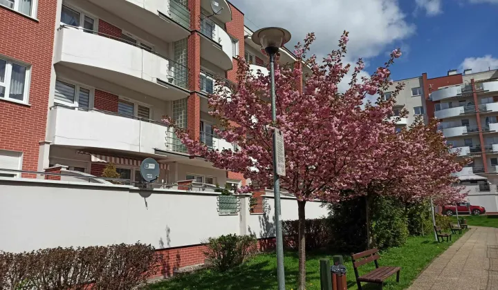 Mieszkanie 3-pokojowe Elbląg Nad Jarem, ul. Legionów