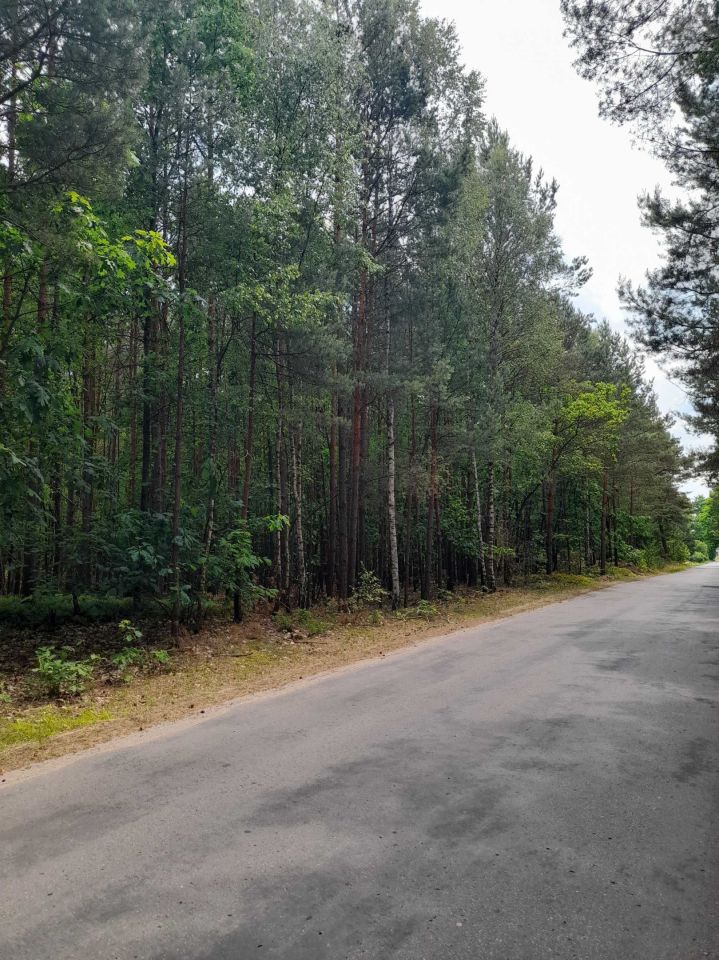 Działka leśna Dorszyn