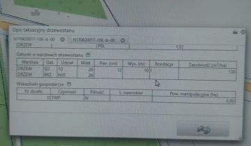 Działka leśna Olszyny