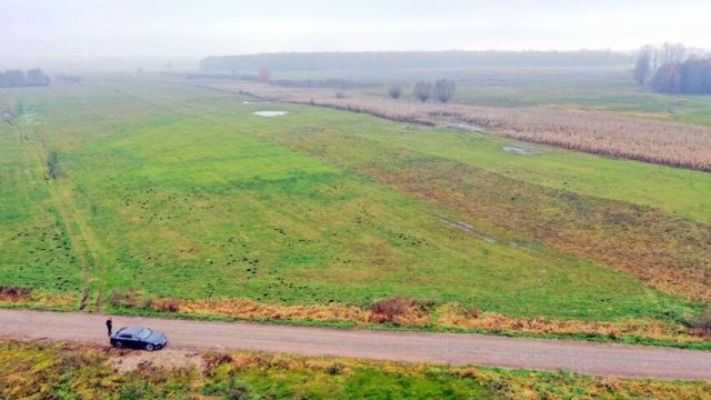 Działka rolna Siedliska. Zdjęcie 4