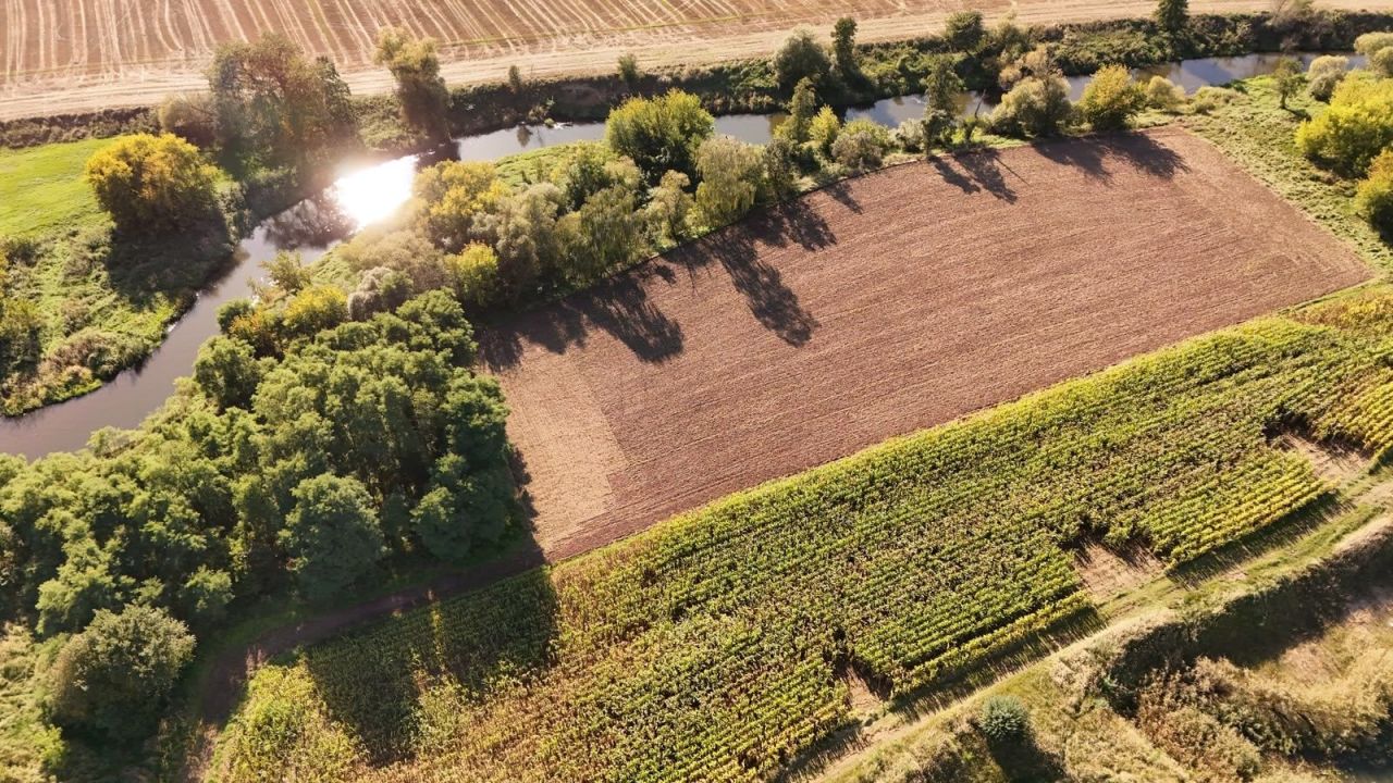 Działka rolna Kuźnia. Zdjęcie 5