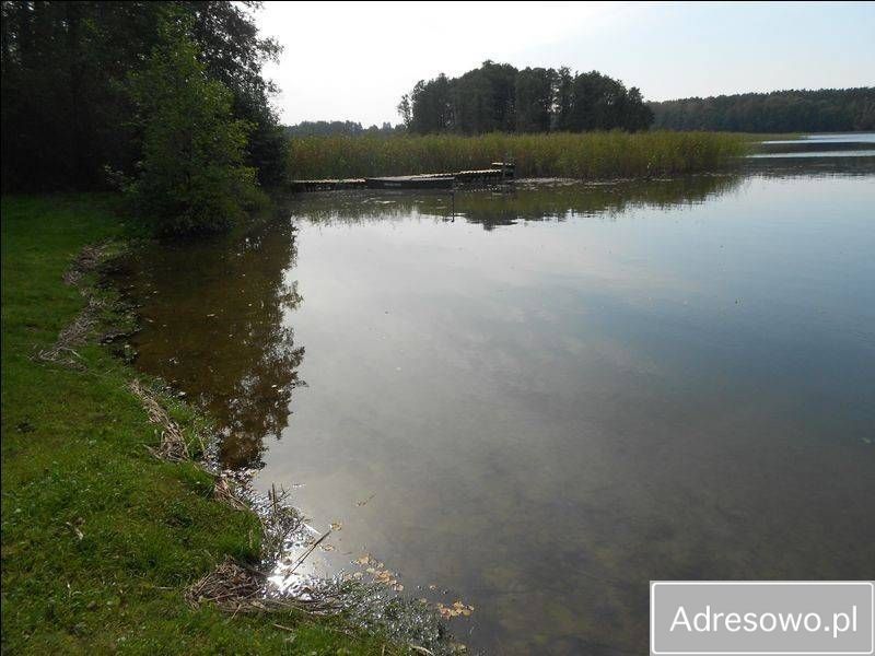 Działka siedliskowa Skolity. Zdjęcie 2