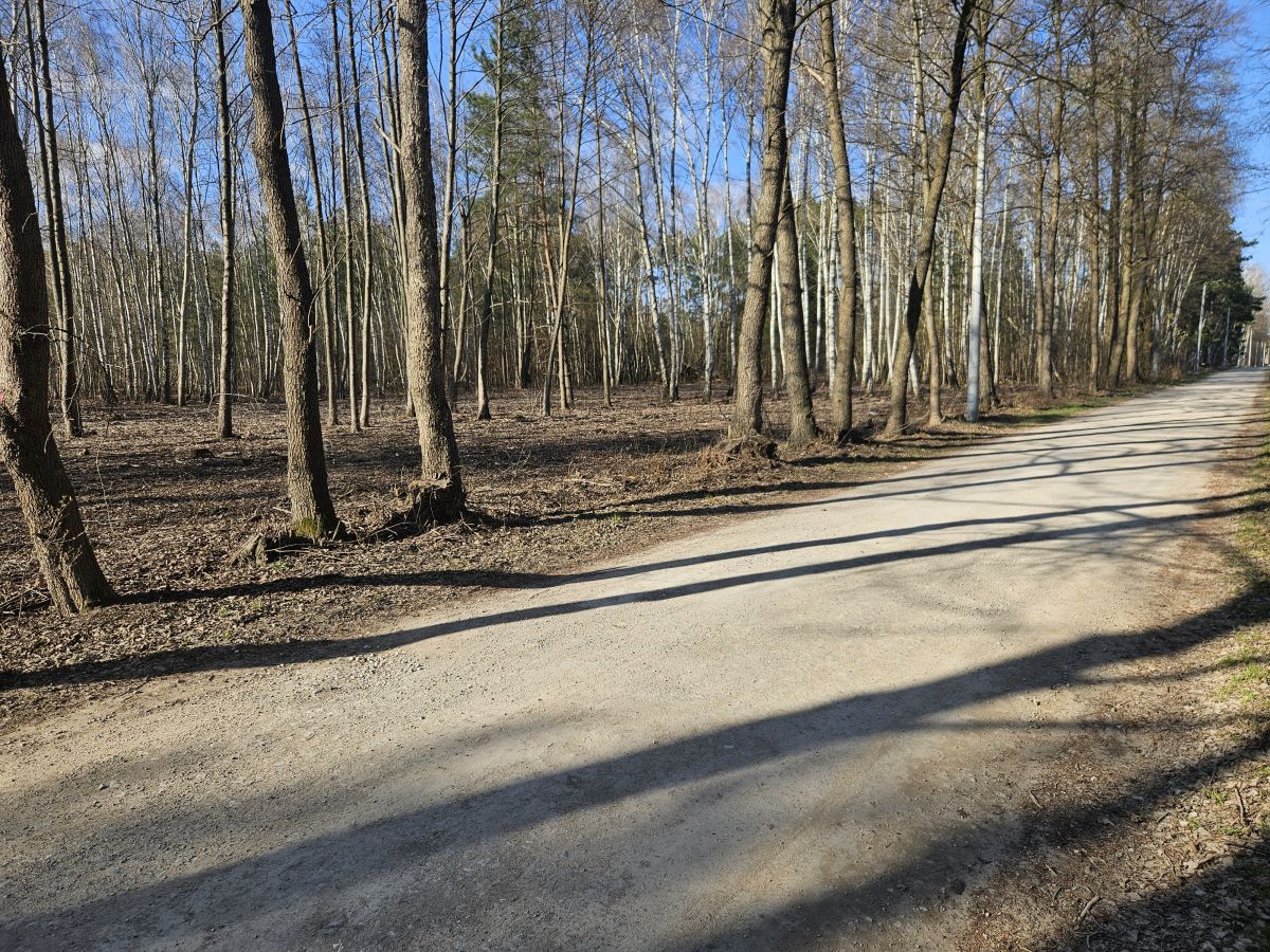 Działka budowlana Żanęcin, ul. Gościniec. Zdjęcie 16
