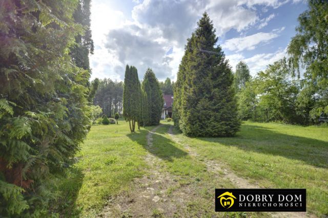 dom wolnostojący, 11 pokoi Kaniuki. Zdjęcie 32