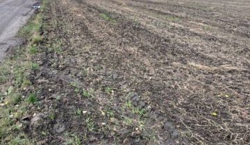 Działka budowlana Kiełkowo