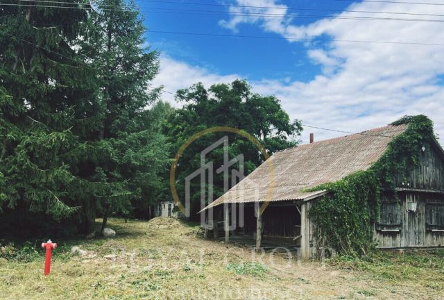 Działka siedliskowa Gołąb. Zdjęcie 3