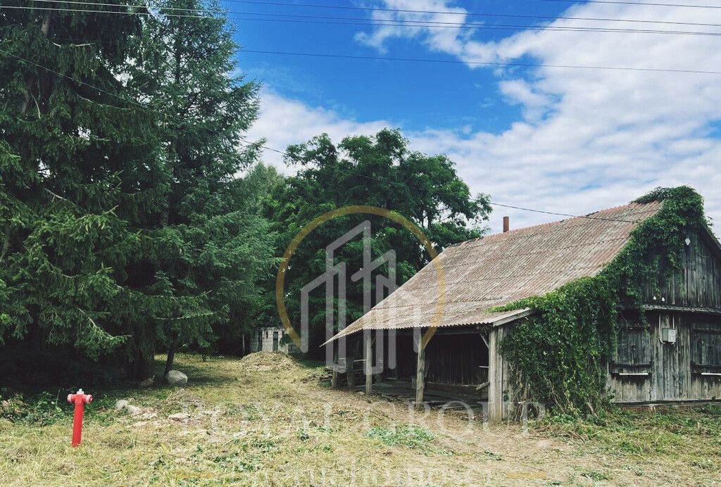 Działka siedliskowa Gołąb. Zdjęcie 3