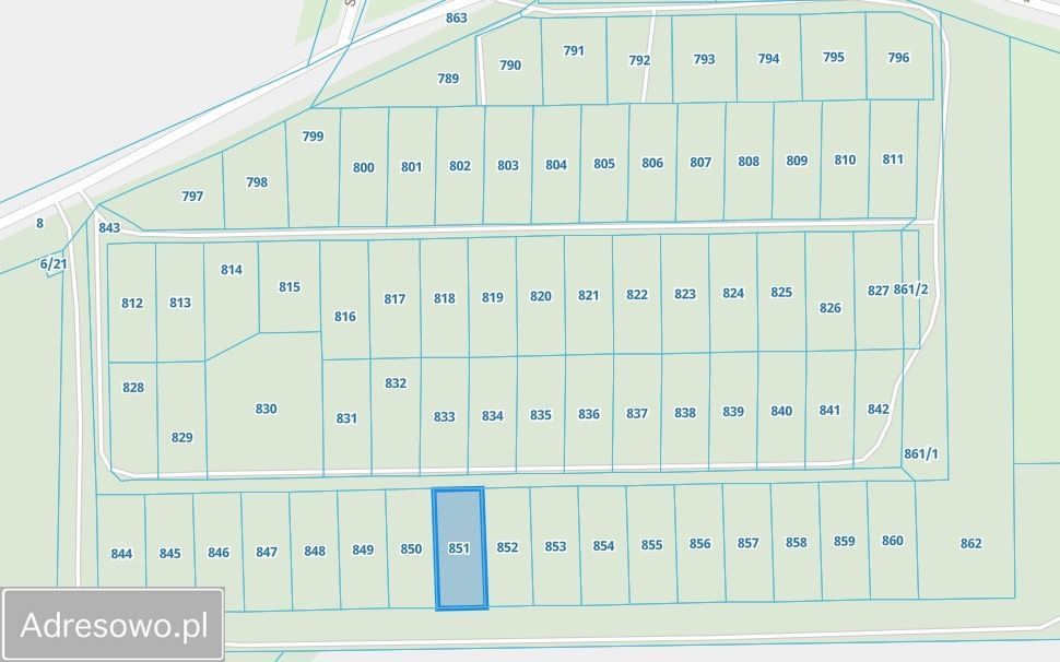 Działka rekreacyjna Torzym. Zdjęcie 3