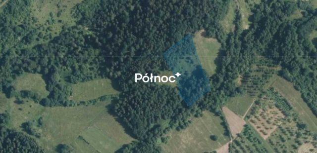 Działka rolna Kamienica. Zdjęcie 7