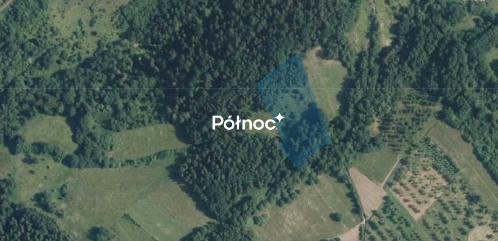 Działka rolna Kamienica. Zdjęcie 7