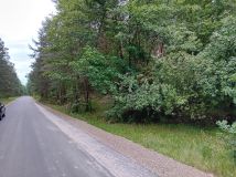 Działka leśna Jabłonowiec. Zdjęcie 4