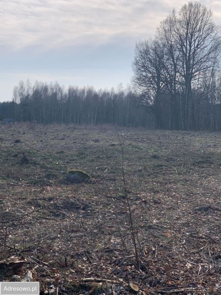 Działka rolno-budowlana Wola Polska. Zdjęcie 3