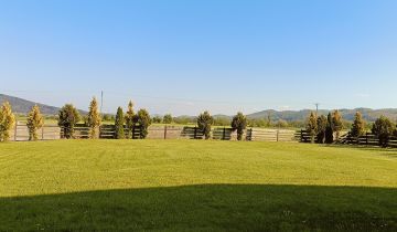 Działka inwestycyjna Budzów, Budzów 165