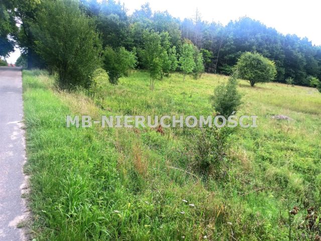 Działka rolna Ramsowo. Zdjęcie 3
