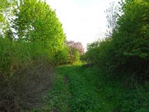 Działka budowlana Olbrachcice Wielkie. Zdjęcie 4