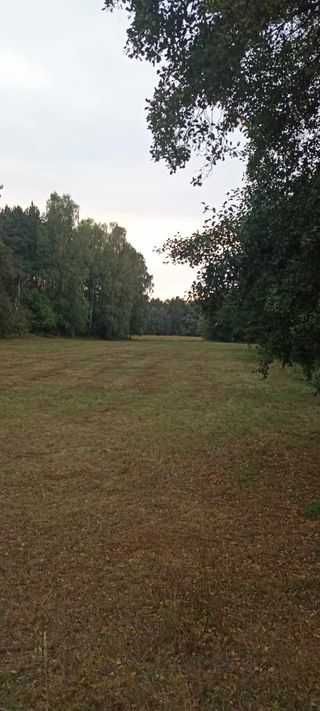 Działka budowlana Popiołki. Zdjęcie 7