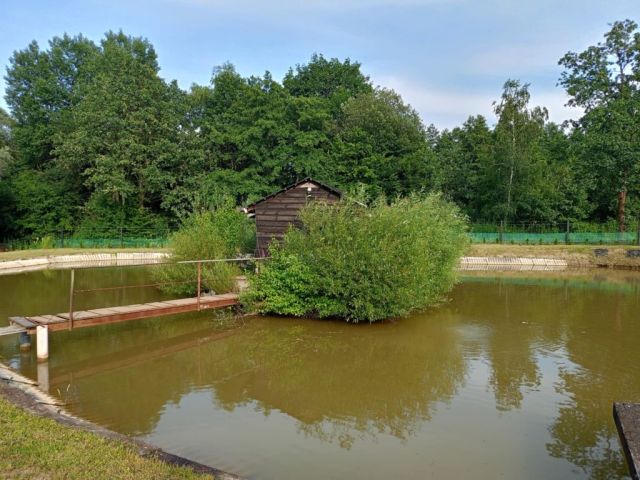 Działka rolno-budowlana Głęboka. Zdjęcie 1