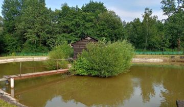 Działka rolno-budowlana Głęboka