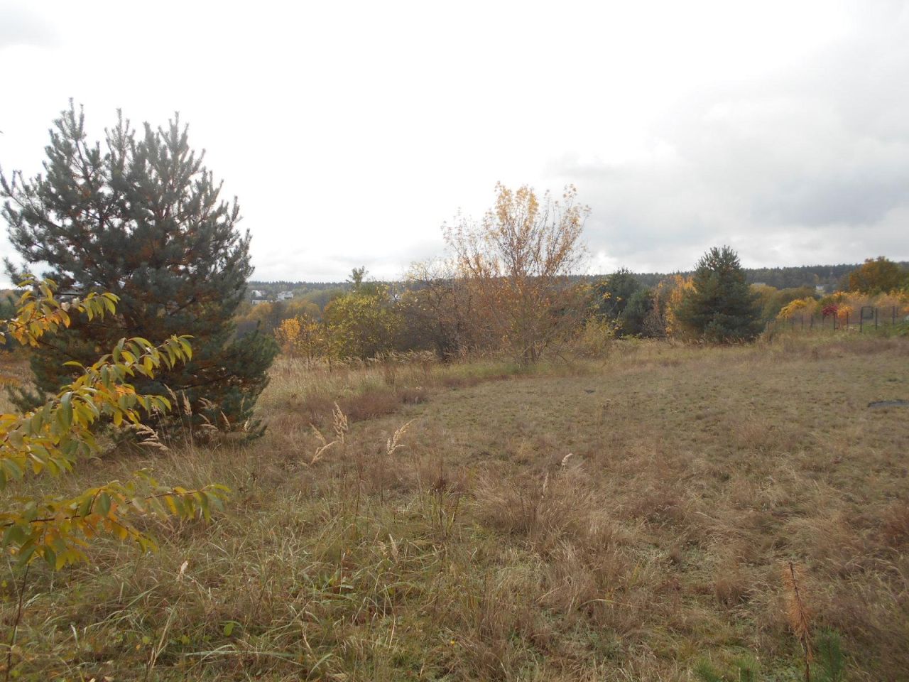 Działka rolno-budowlana Starachowice Michałów Górny, ul. Fryderyka Lempe. Zdjęcie 7
