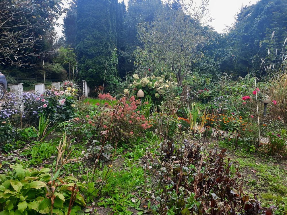 Działka rod Wagowo Wiśniewo. Zdjęcie 5