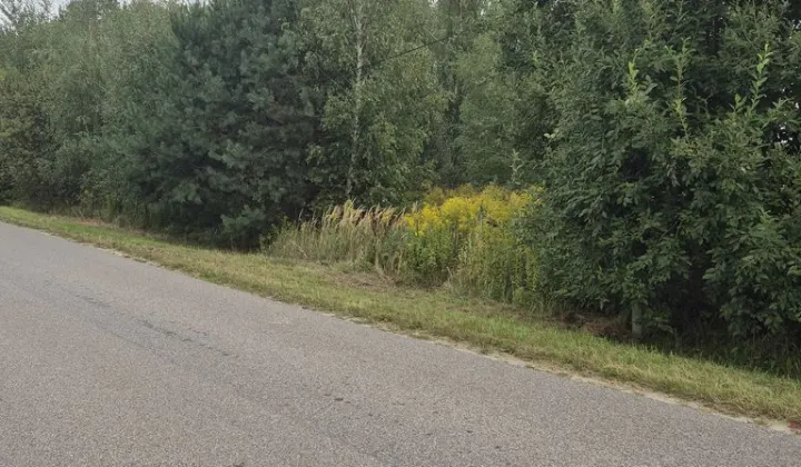 Działka budowlana Cholewy