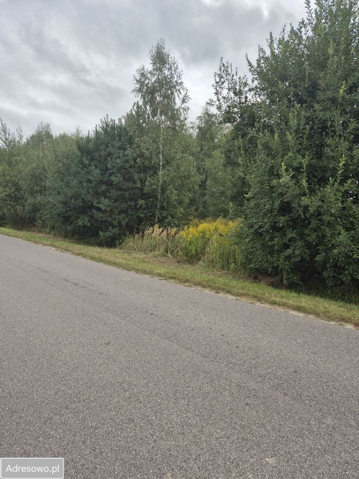 Działka budowlana Cholewy. Zdjęcie 1