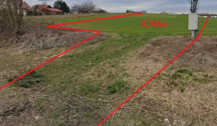 Działka inwestycyjna Cholerzyn