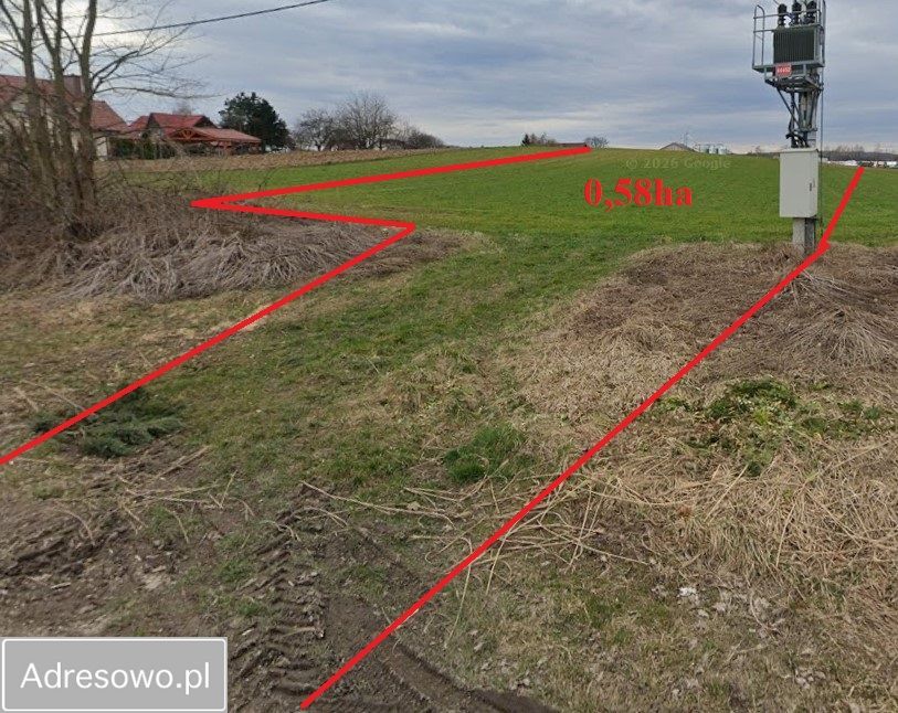 Działka inwestycyjna Cholerzyn. Zdjęcie 1