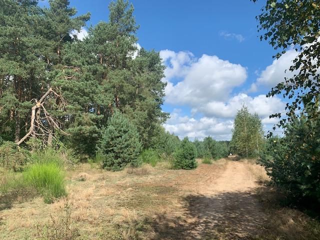 Działka budowlana Nowa Osuchowa, ul. Polna