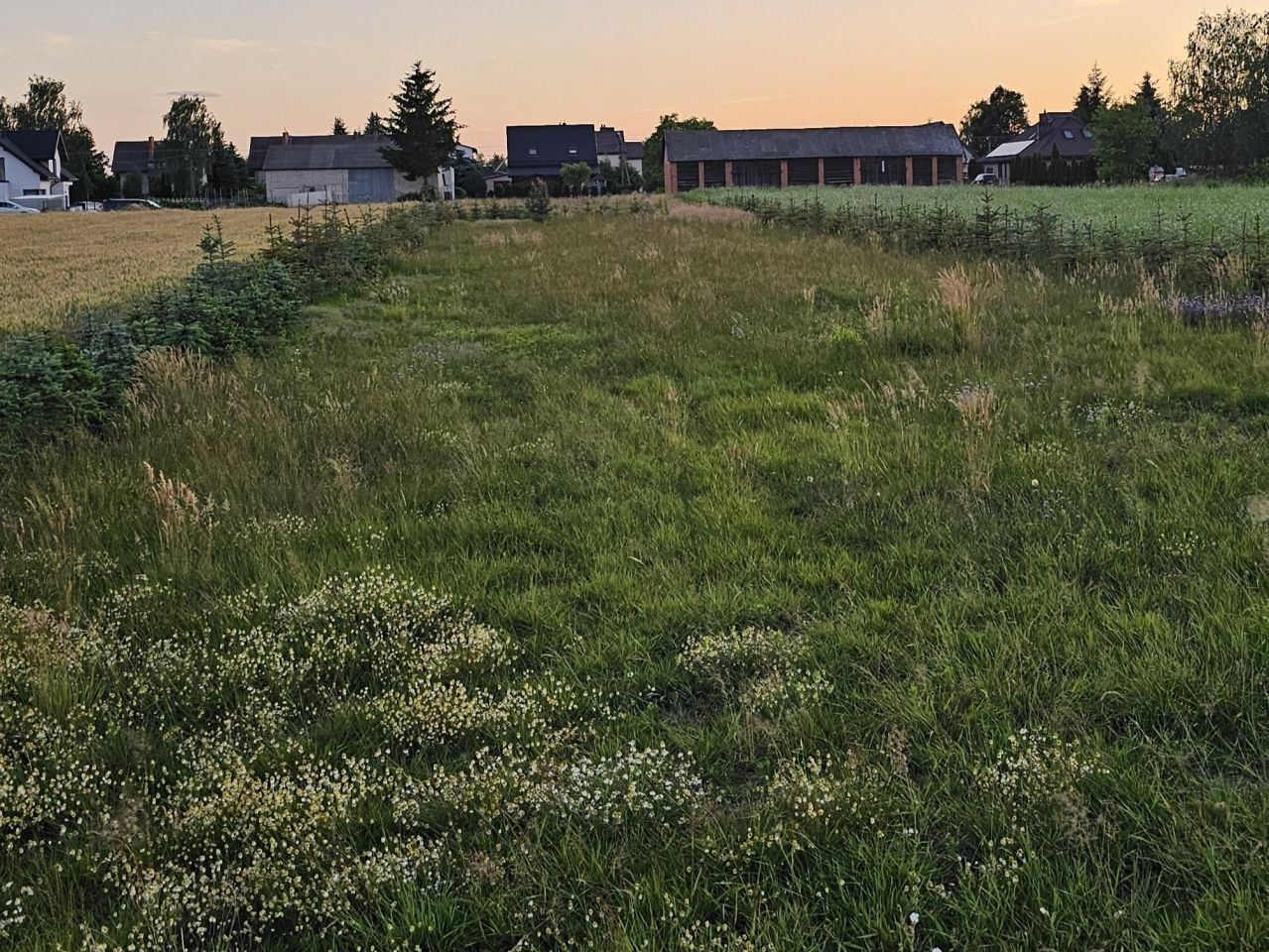 Działka budowlana Lisów. Zdjęcie 2