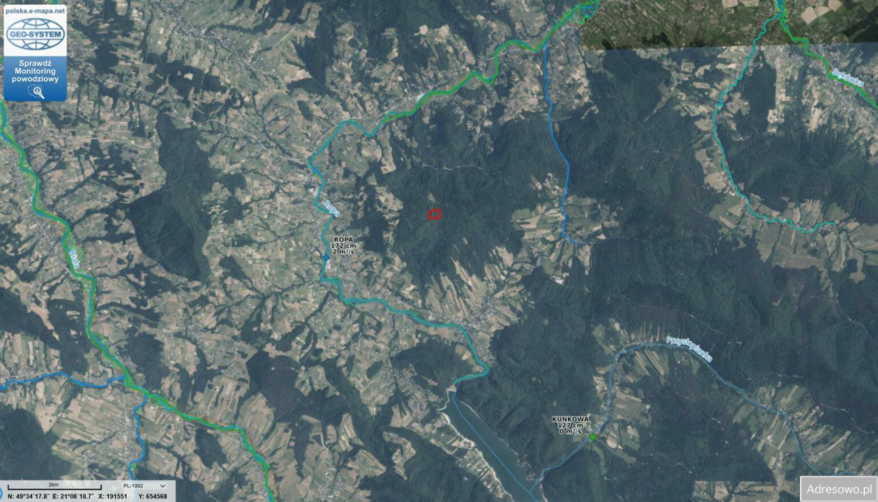 Działka leśna Łosie. Zdjęcie 6