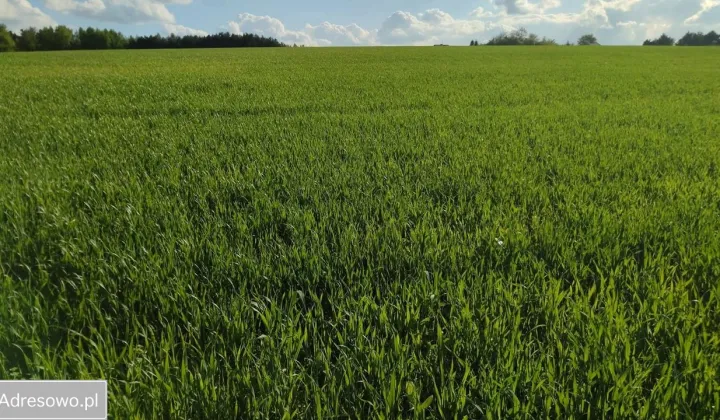 Działka budowlana Kiełkowice, ul. Karlińska