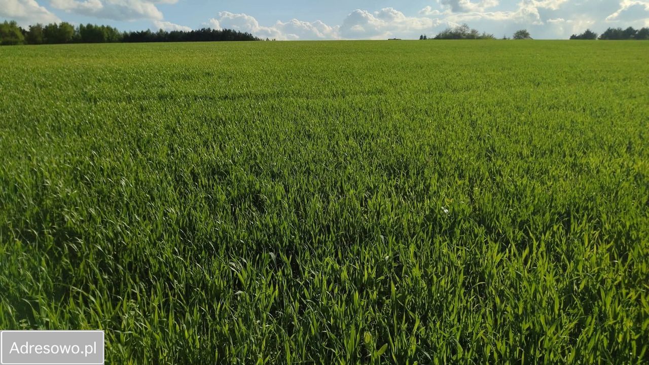 Działka budowlana Kiełkowice, ul. Karlińska