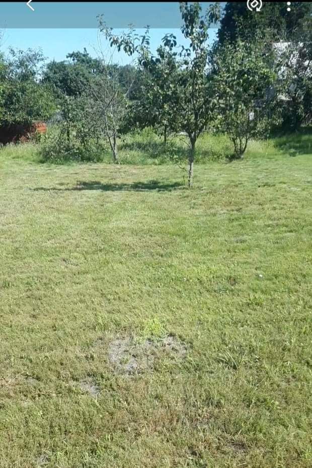 siedlisko, 2 pokoje Trześcianka. Zdjęcie 4