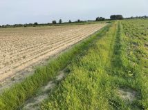 Działka rolna Wola Miedniewska. Zdjęcie 4