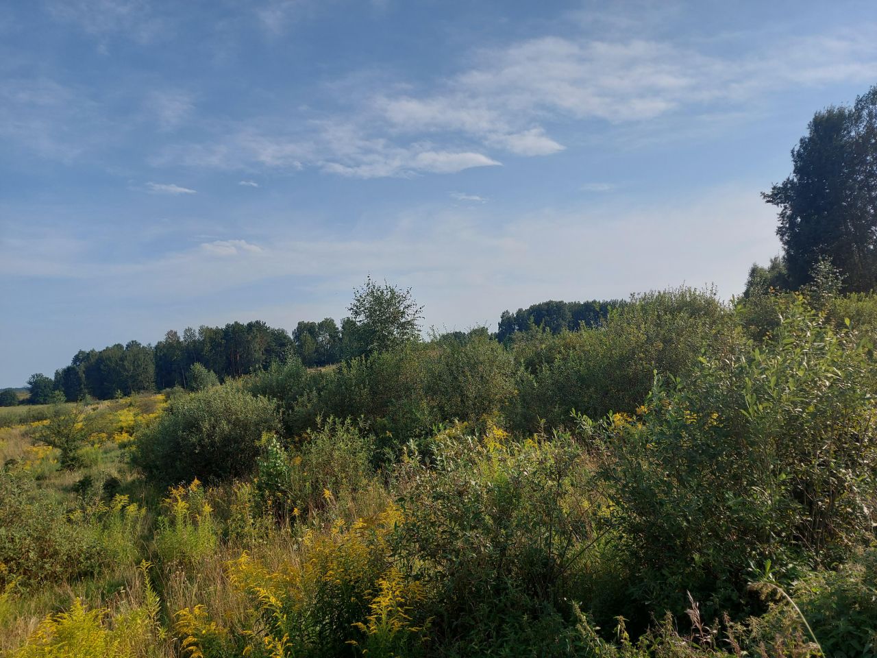 Działka rolno-budowlana Marcinkowo. Zdjęcie 7
