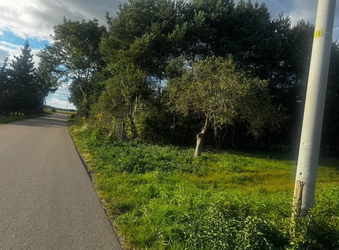 Działka budowlana Sadykierz. Zdjęcie 3