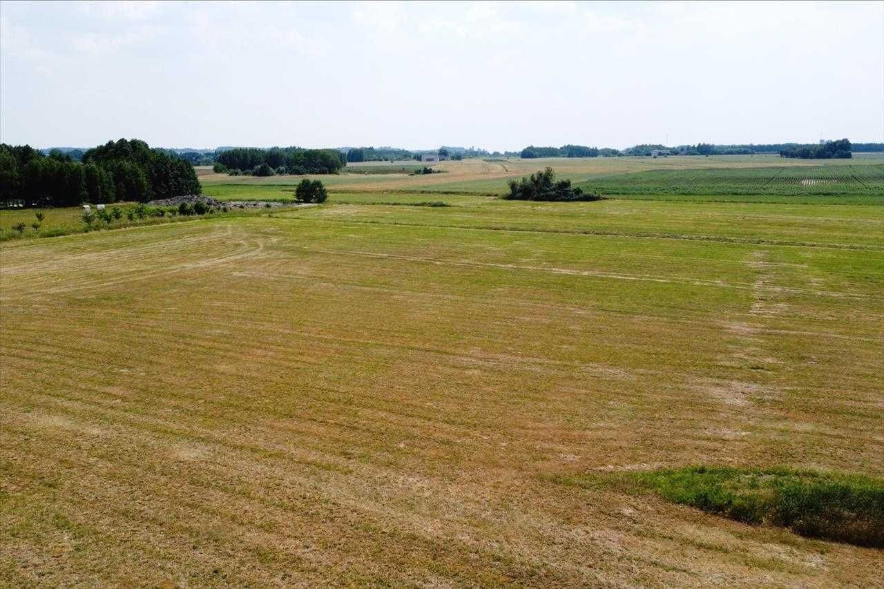 Działka budowlana Krzyżanowice. Zdjęcie 5