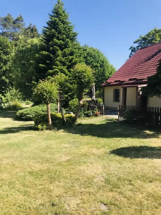 dom wolnostojący, 5 pokoi Sadkowo. Zdjęcie 2