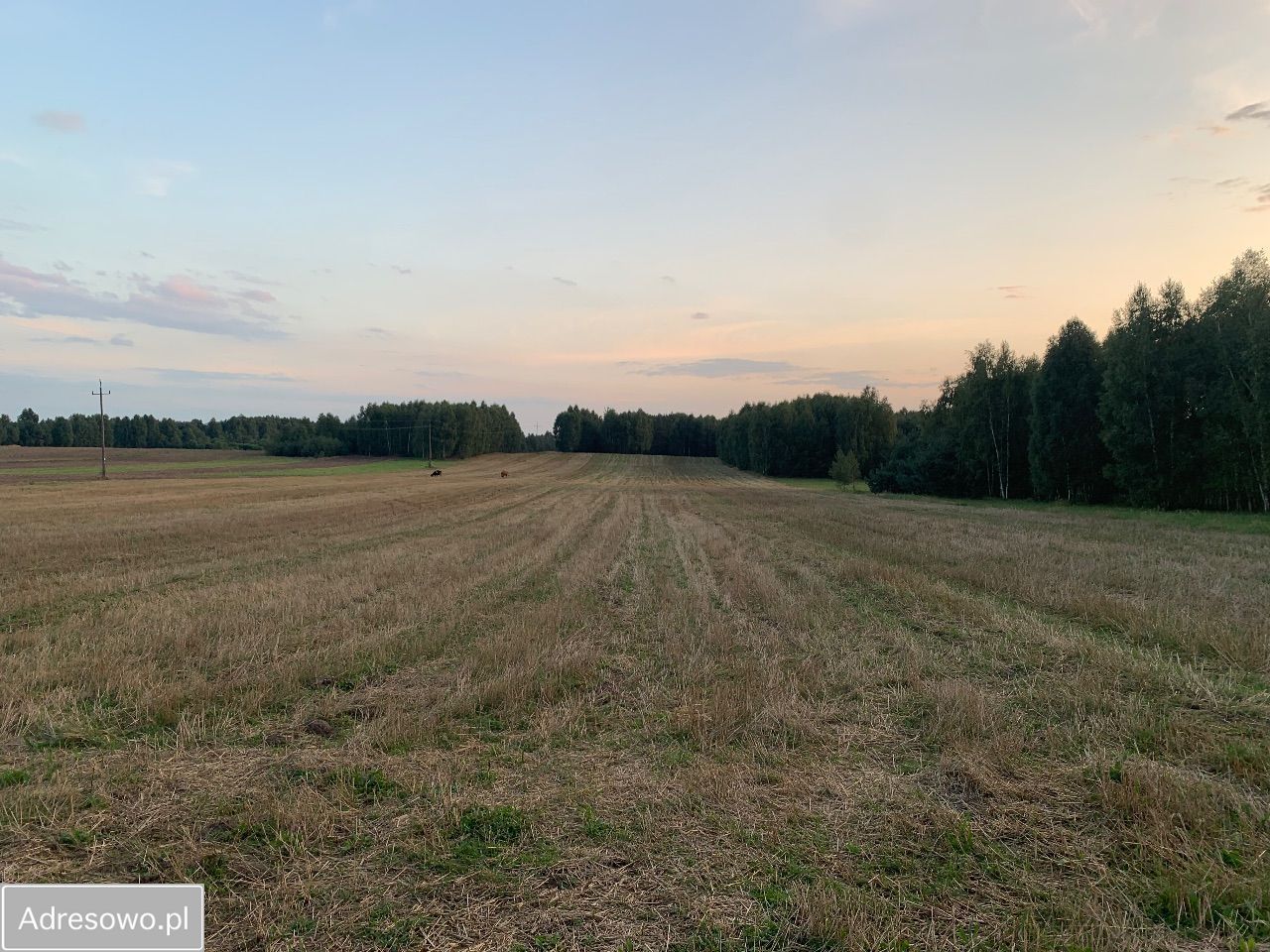 dom wolnostojący, 3 pokoje Gąsawy Rządowe-Niwy. Zdjęcie 12