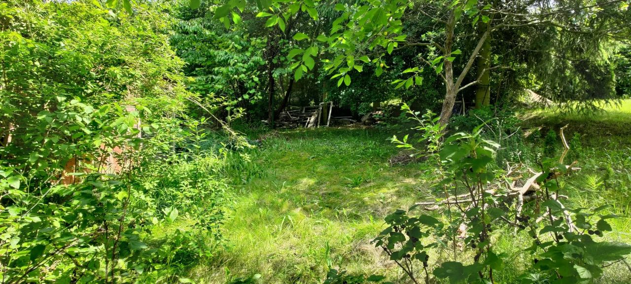 Działka rod Lublin. Zdjęcie 5