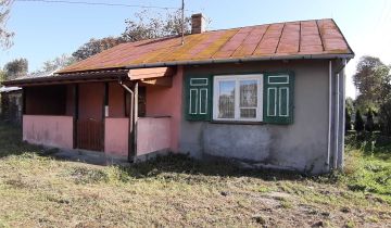 gospodarstwo Białobrzegi