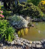 Działka rod Głogów, ul. Adama Mickiewicza. Zdjęcie 4