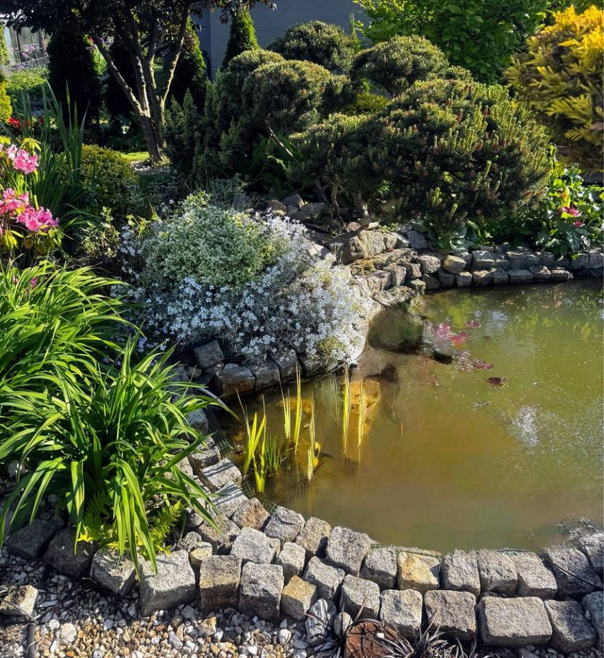 Działka rod Głogów, ul. Adama Mickiewicza. Zdjęcie 5