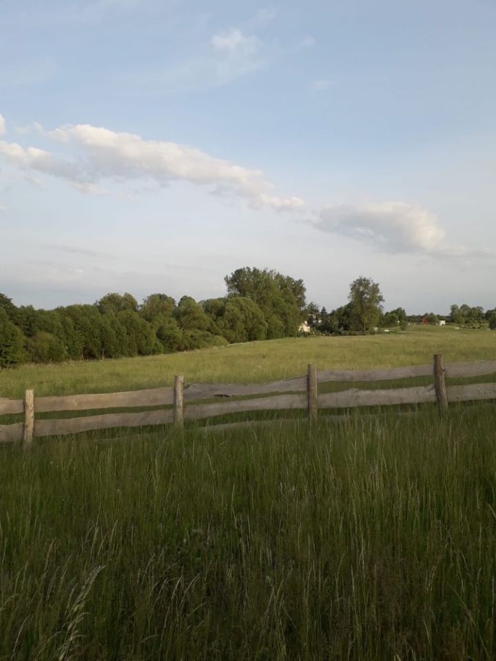 Działka budowlana Jęcznik. Zdjęcie 3