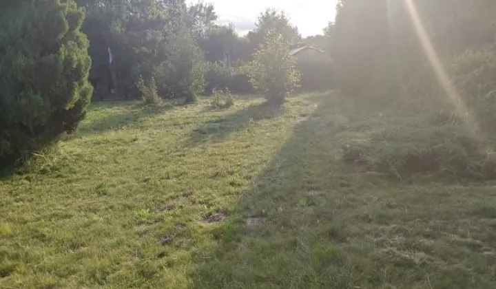 Działka rod Świdnik, ul. Sosnowa