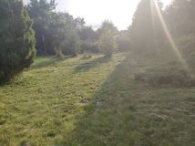 Działka rod Świdnik, ul. Sosnowa