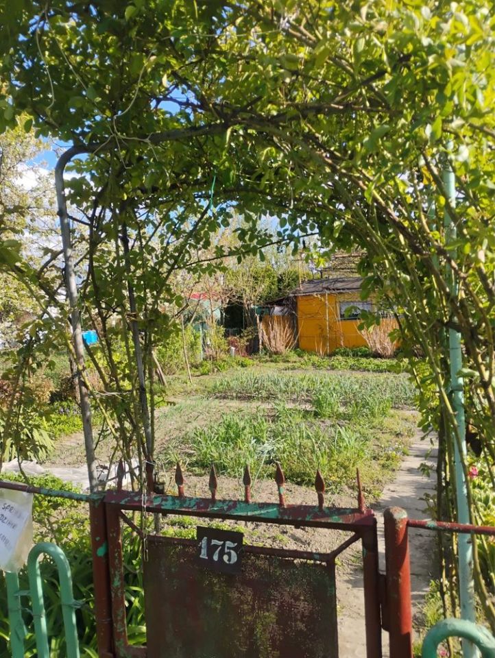 Działka rod Tarnobrzeg, ul. Kamionka. Zdjęcie 3