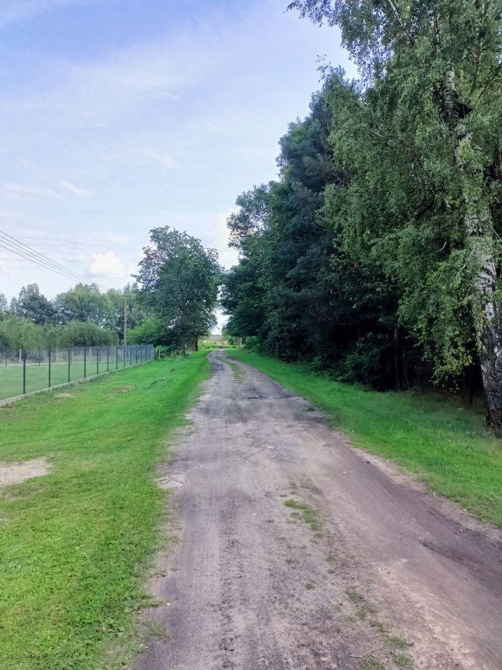 Działka rolno-budowlana Dąbrowa. Zdjęcie 1